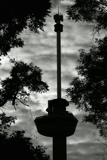 _DSC0776.JPG - SONY DSC